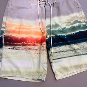 American Eagle Swimming Trunks.